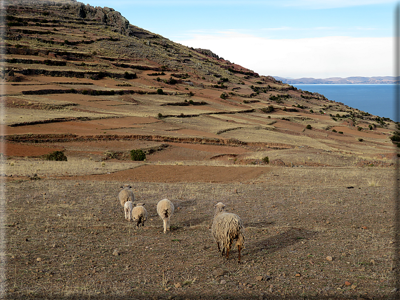 foto Lago Titicaca